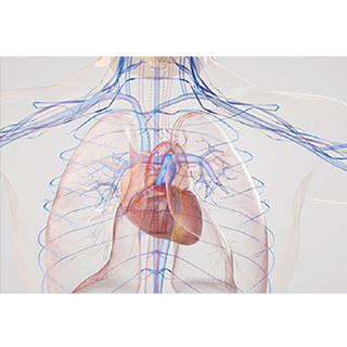 植入式醫(yī)療